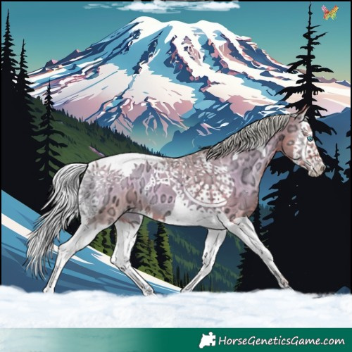 Horse Color:Watercolor Silver Sable Champagne Ice Onyx Splash Tobiano 