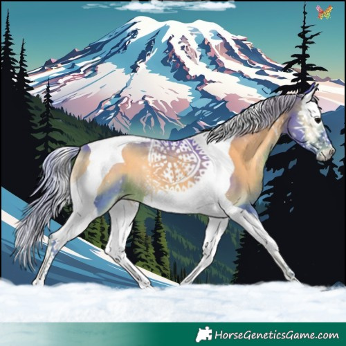 Horse Color:Watercolor Silver Blue Onyx Splash Tobiano 