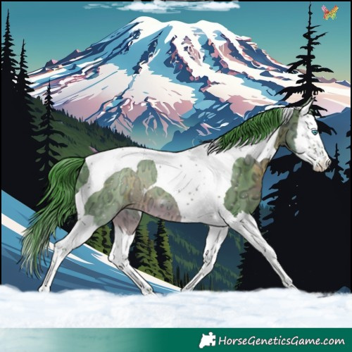Horse Color:Watercolor Brown Ice Splash Tobiano 