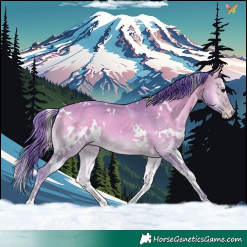 Horse Color:Watercolor White Spotted Amber Champagne Onyx 