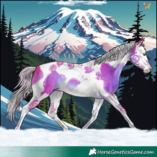Horse Color:Watercolor Chocolate Palomino Splash Tobiano 