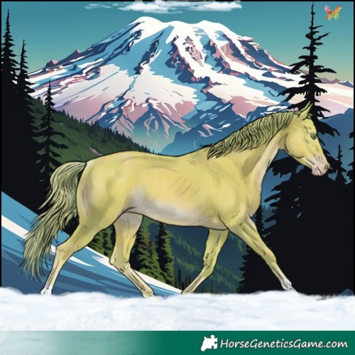 Horse Color:Watercolor Gold Champagne Rabicano 