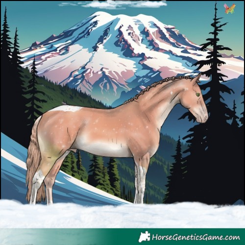 Horse Color:Watercolor Gold Champagne Tobiano 