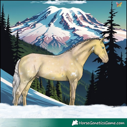 Horse Color:Watercolor White Spotted Silver Amber Champagne Rabicano