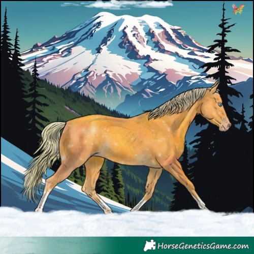 Horse Color:Watercolor Gold Cream Champagne Tobiano Rabicano 