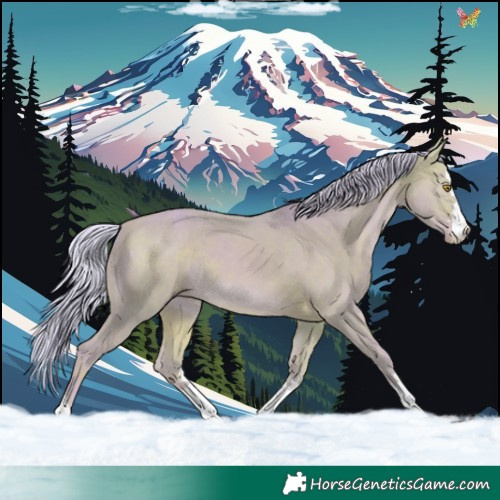 Horse Color:Watercolor Silver Sable Champagne 