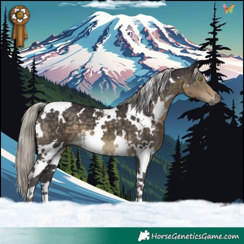 Horse Color:White Spotted Silver Smoky Black 