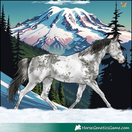 Horse Color:Sable Cream Champagne Ice Onyx Sabino Tobiano 