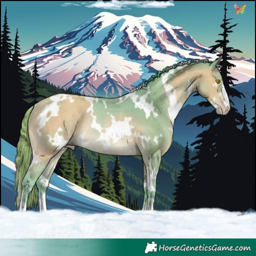 Horse Color:Watercolor White Spotted Sable Champagne Rabicano 
