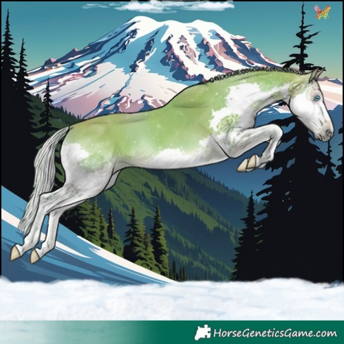 Horse Color:Watercolor Silver Buckskin Onyx Splash