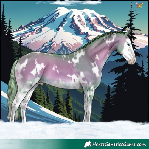 Horse Color:Watercolor White Spotted Sable Champagne Onyx Splash