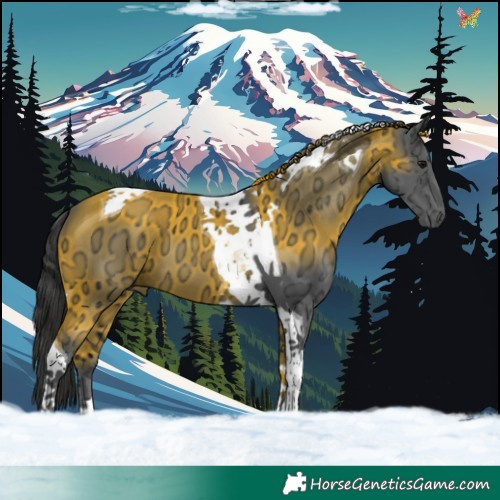 Horse Color:Black Ice Tobiano