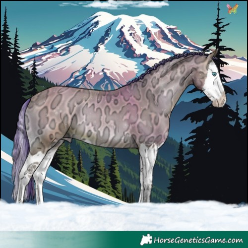 Horse Color:Watercolor Sable Champagne Ice Onyx Splash