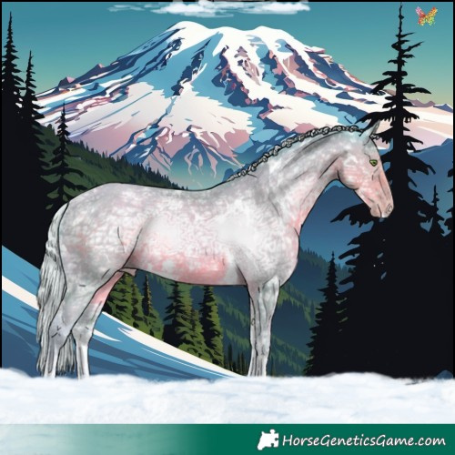 Horse Color:Watercolor White Spotted Silver Classic Cream Champagne Ice Tobiano Rabicano 
