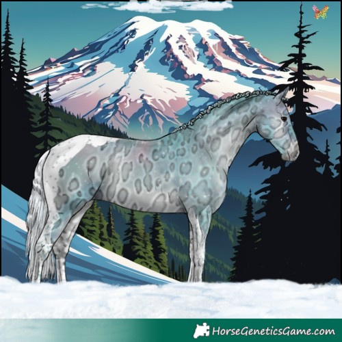 Horse Color:Watercolor Silver Brown Ice Onyx Tobiano 