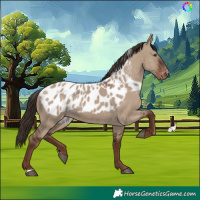Horse Color:Liver Red Dun Skewed LP Spotted