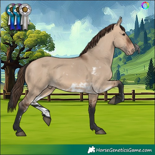 Horse Color:Bay Dun Skewed Appaloosa 