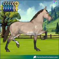 Horse Color:Bay Dun Skewed LP Spotted 