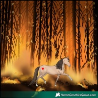 Horse Color:Amber Champagne Tobiano 