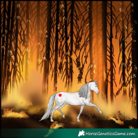 Horse Color:Platinum Silver Amber Champagne Roan Dun Tobiano