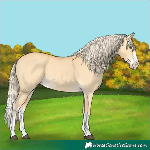 Horse Color:Palomino Dun Splash