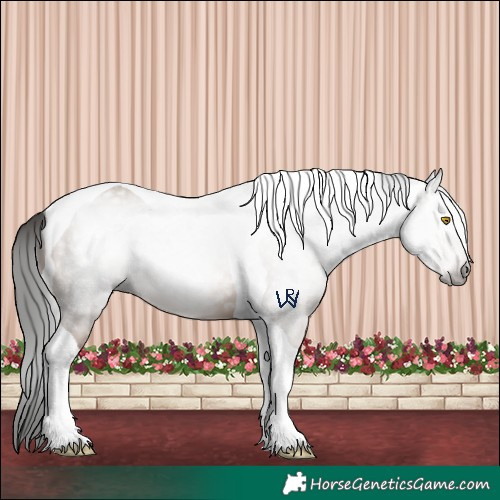 Horse Color:Gray Amber Champagne Tobiano 
