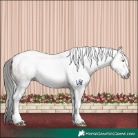 Horse Color:Gray Amber Champagne Tobiano 