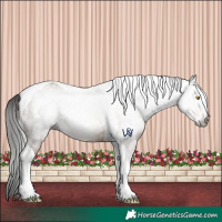 Horse Color:Gray Amber Champagne Tobiano 