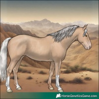 Horse Color:Silver Classic Champagne