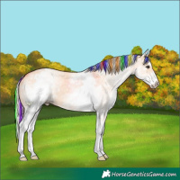 Horse Color:Painted White Spotted Silver Bay Dun