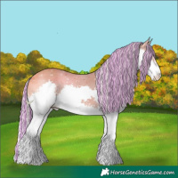 Horse Color:Painted Silver Bay Splash