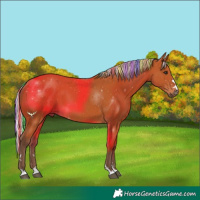 Horse Color:Painted Silver Bay 