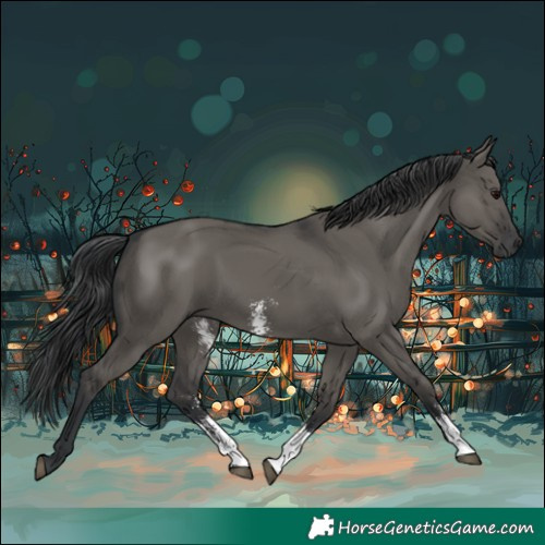 Horse Color:Grullo Sabino Rabicano 