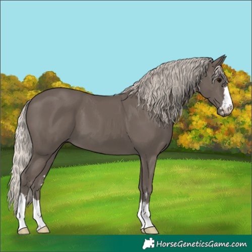 Horse Color:Silver Black 