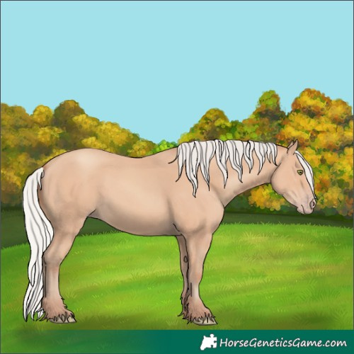 Horse Color:Silver Amber Champagne 