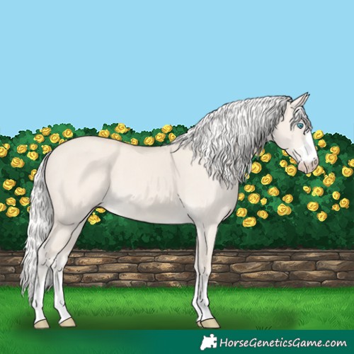 Horse Color:Silver Smoky Creme Dun