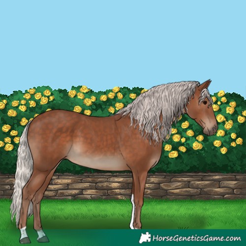 Horse Color:Silver Black Tobiano