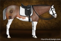 Horse Color:Bay Splash Rabicano