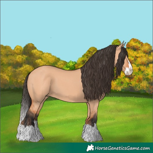 Horse Color:Bay Dun Splash 