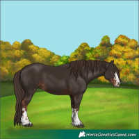 Horse Color:Liver Chestnut  and Liver Chestnut 