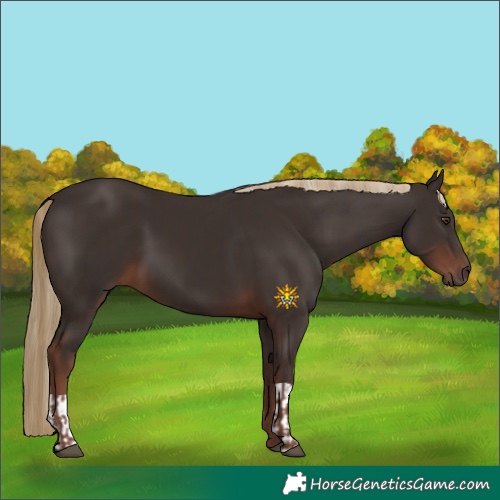 Horse Color:Liver Chestnut  and Liver Chestnut 