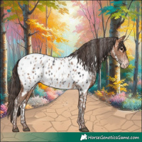 Horse Color:Black Near Leopard  and Amber Champagne Near Leopard 