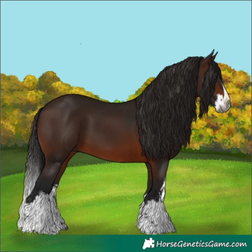 Horse Color:Gray White Spotted Bay Splash