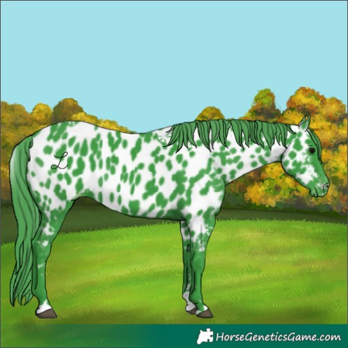 Horse Color:Watercolor Black Near Leopard 