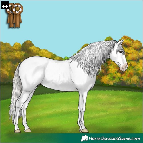 Horse Color:Silver Black Sabino Splash Appaloosa 