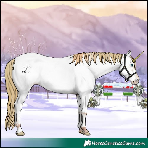 Horse Color:Watercolor Amber Champagne Pearl Dun Appaloosa 
