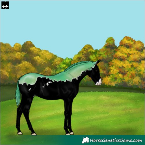 Horse Color:Watercolor Blue Onyx Sabino Splash