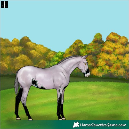 Horse Color:Watercolor Bay Pearl Dun Sabino 