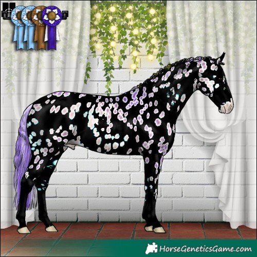 Horse Color:Watercolor Bay Onyx Sabino Leopard 