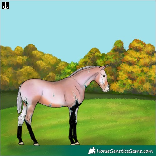 Horse Color:Watercolor Silver Bay Pearl Onyx Sabino 